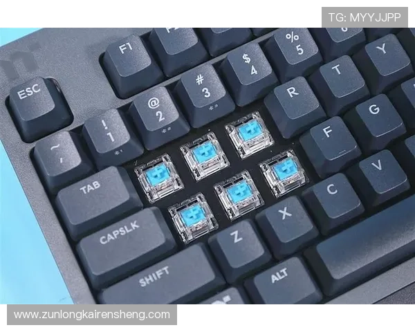 凯时网址登录入口全天候在线支持多设备无缝切换确保游戏不中断