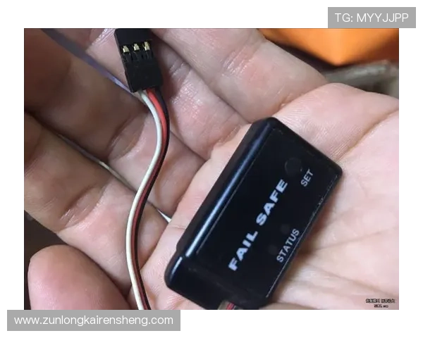 揭秘尊龙凯时官方登录的安全性,玩家的信息如何保护 揭秘尊龙凯时官方登录的安全性,玩家的信息如何保护