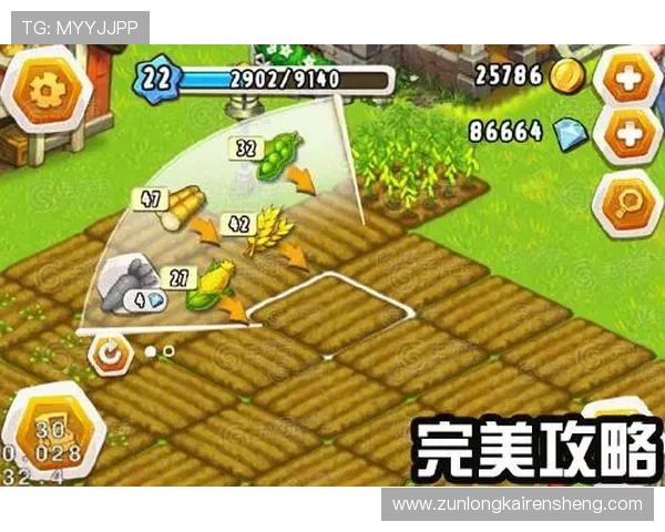 尊龙z6国际站最新上线的游戏资讯与玩法攻略全面解析