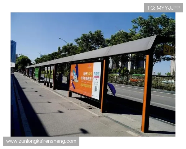 用户对d88尊龙官网的真实评价与反馈汇总