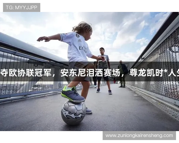 尊龙凯时人生就是搏官网带你全面了解最新游戏资讯与玩法技巧提升攻略