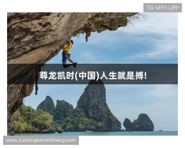 d88尊龙凯时平台的安全保障措施详尽解析确保玩家资金安全与个人隐私保护