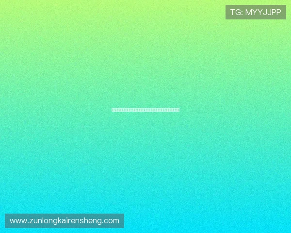 比利时与新西兰比赛中球衣号码背后隐藏的战术布局与球队策略